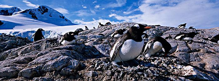 第一人称冒险游戏《反向防火墙_》上线Steam 2022年发售